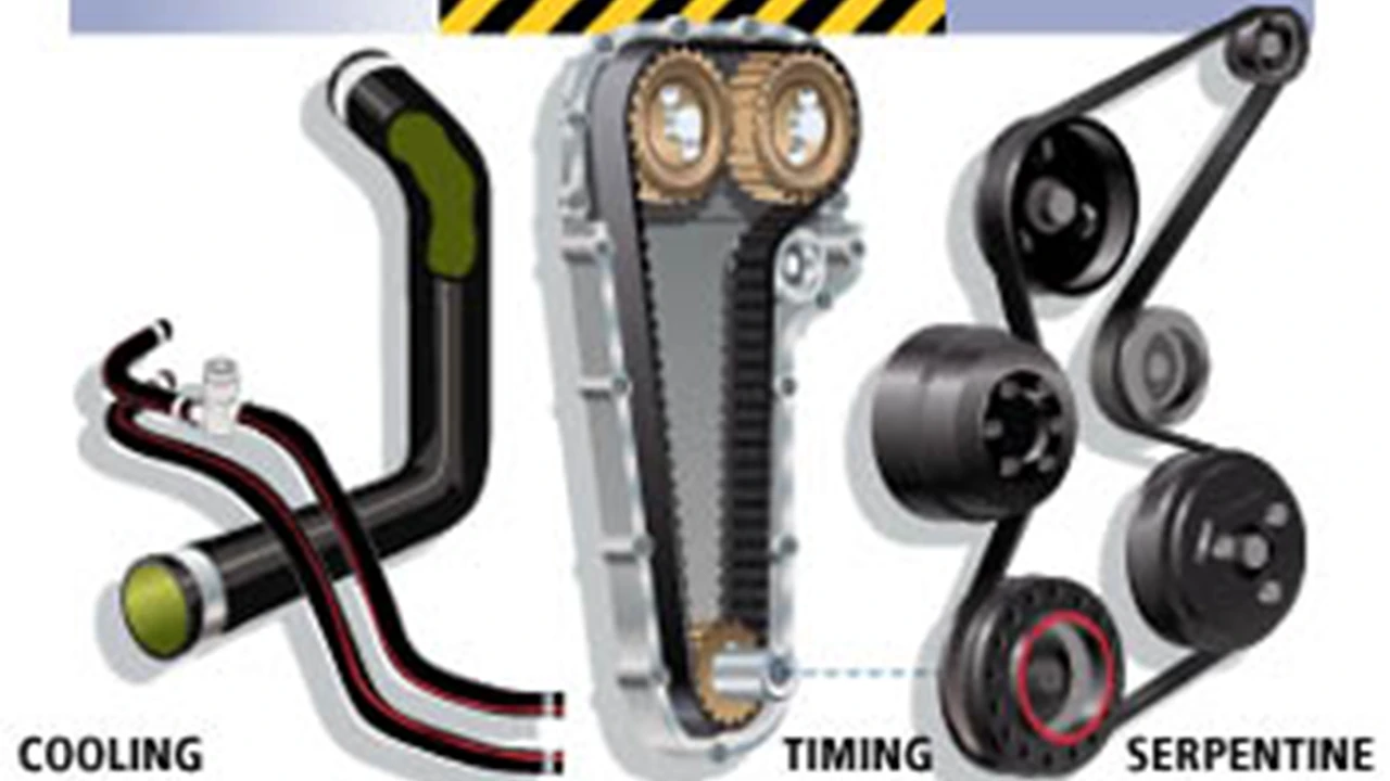 pork chops with cream sauce