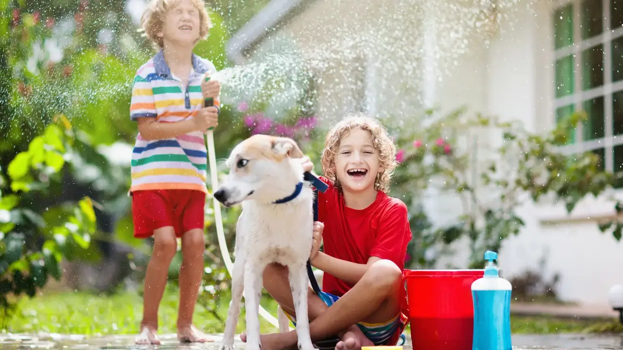 Chef John's Irish Soda Bread